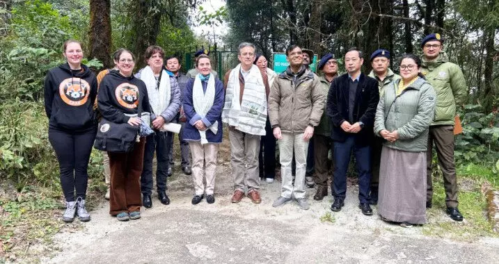 Sikkim : फ्रांसीसी महावाणिज्यदूत कार्यालय सिक्किम में लाल पांडा संरक्षण प्रयास