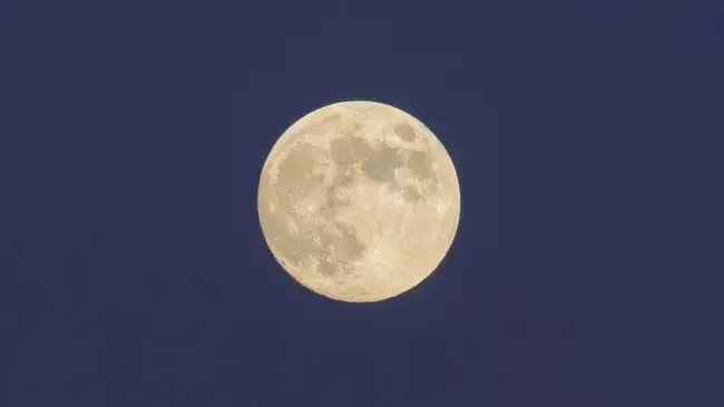 2024 का अंतिम Supermoon (पूर्णिमा) 15 नवंबर को पूर्ण बीवर मून के रूप में उदय