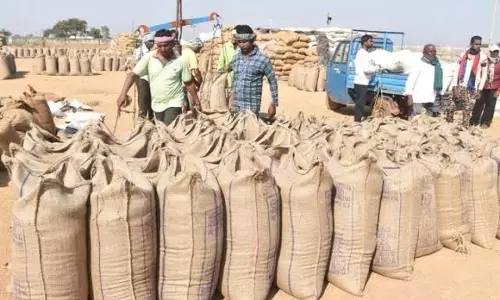 धान खरीदी आज से, किसानों को CM साय ने दी बधाई