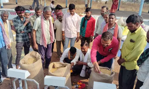 रायपुर ब्रेकिंग: आज से हुई समर्थन मूल्य पर धान खरीदी की शुरूआत