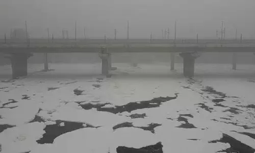यमुना में जहरीले झाग के लिए स्थायी समाधान की जरूरत: DJB
