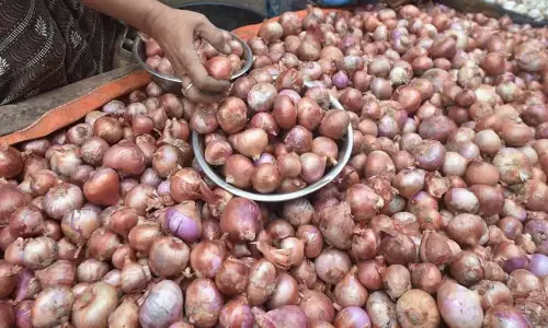 Odisha: प्याज की कीमतें बढ़ने पर नैफेड से फिर मदद मांगी गई Odisha: प्याज की कीमतें बढ़ने पर नैफेड से फिर मदद मांगी गई