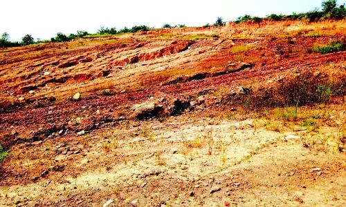 GOA: उप कलेक्टर ने ज़ेल्डेम में अवैध पहाड़ी कटाई पर काम रोकने का आदेश जारी किया