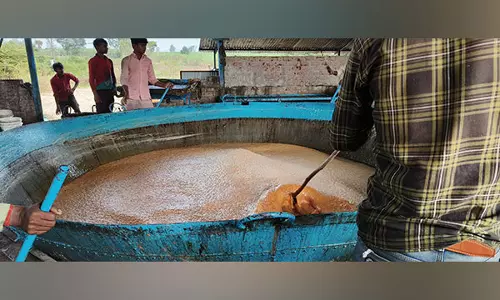 Kolhapur का प्रतिष्ठित गुड़ उद्योग अपनी मीठी विरासत को जीवित रखने के लिए चुनौतियों का सामना कर रहा
