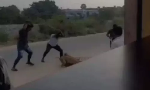 Telangana: तीन स्ट्रीट डॉग्स को बेरहमी से पीट-पीटकर मार डाला गया Telangana: तीन स्ट्रीट डॉग्स को बेरहमी से पीट-पीटकर मार डाला गया