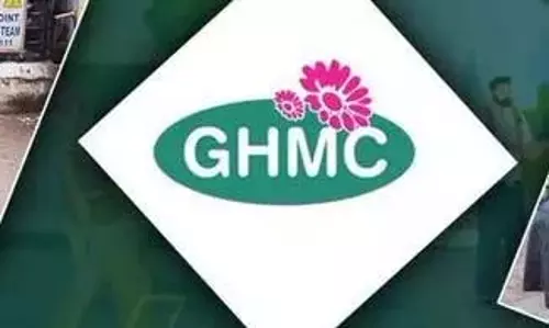GHMC की टीमों ने 374 स्ट्रीट डॉग्स का टीकाकरण किया
