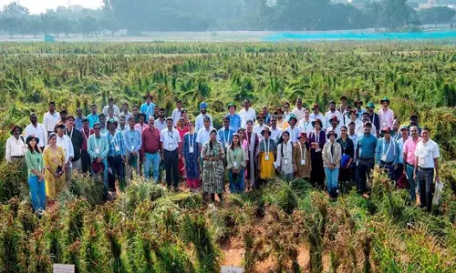 ICRISAT  ने तीसरे जीनबैंक लघु बाजरा जर्मप्लाज्म फील्ड दिवस की मेजबानी की