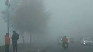 Weather : प्रदेश के बड़े हिस्से में कोहरा  , IMD ने जारी की चेतावनी