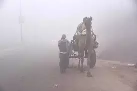 Haryana में घना कोहरा, IMD ने जारी किया येलो और ऑरेंज अलर्ट Haryana में घना कोहरा, IMD ने जारी किया येलो और ऑरेंज अलर्ट