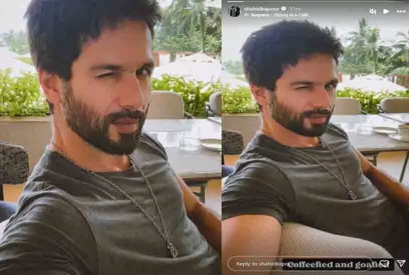 Shahid Kapoor ने उष्णकटिबंधीय स्थान से अपनी विंकिंग सेल्फी शेयर की