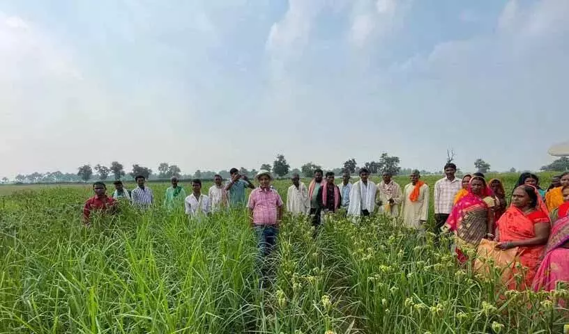 ICRISAT, बिहार सरकार का लक्ष्य बिहार में बाजरा उत्पादन में सुधार