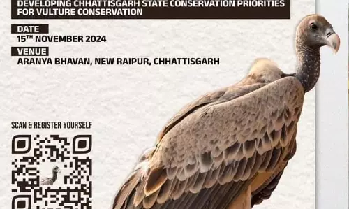 गिद्ध संरक्षण पर आज रायपुर में कार्यशाला गिद्ध संरक्षण पर आज रायपुर में कार्यशाला
