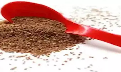 Carom Seeds Water: अजवाइन के पानी में मिलाएं बस ये एक चीज, कभी नहीं होगी पथरी Carom Seeds Water: अजवाइन के पानी में मिलाएं बस ये एक चीज, कभी नहीं होगी पथरी