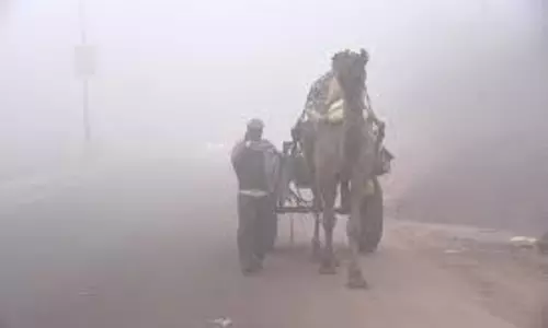 Haryana में घना कोहरा, IMD ने जारी किया येलो और ऑरेंज अलर्ट Haryana में घना कोहरा, IMD ने जारी किया येलो और ऑरेंज अलर्ट