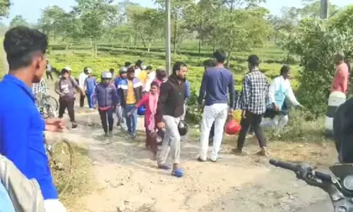 Sikkim : टस्कर ने दो लोगों को कुचलकर मार डाला