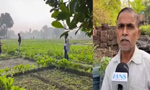 PM किसान सम्मान निधि योजना नालंदा के किसानों के चेहरे पर ला रही मुस्कान PM किसान सम्मान निधि योजना नालंदा के किसानों के चेहरे पर ला रही मुस्कान
