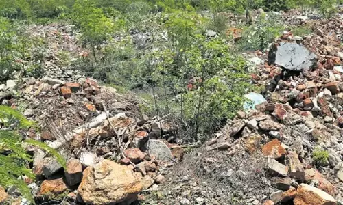 Vizag के विकास के बीच मैंग्रोव वनों में खतरनाक गिरावट Vizag के विकास के बीच मैंग्रोव वनों में खतरनाक गिरावट
