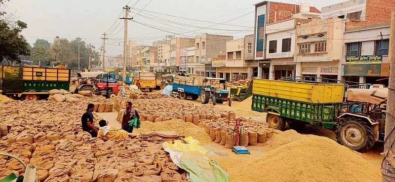 Haryana : सिरसा अनाज मंडी में धान की ढुलाई के नियम कड़े