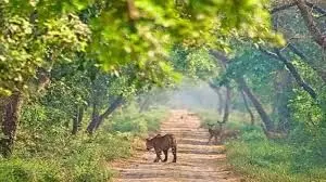 Gaziabad: प्रदेश सरकार ने कतर्नियाघाट वन प्रभाग को पर्यटकों के लिए खोला