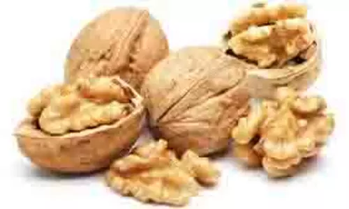 Health:   सुबह 2 भीगे हुए अखरोट खाने से मिलेंगे जबरदस्त फायदे