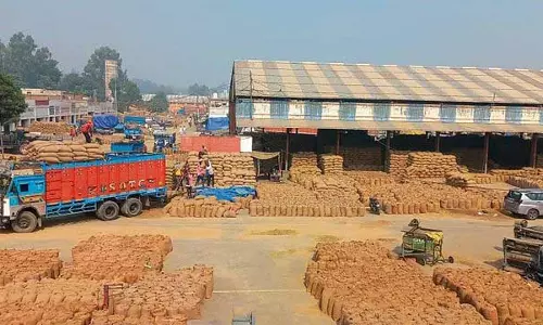 Haryana :  कम माल प्रेषण के कारण एफसीआई गोदामों में जगह की कमी