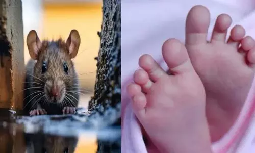 Chennai कुंरादुर में चूहे के जहर से मरे बच्चे? उस रात कमरे में क्या हुआ?