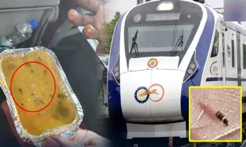 Vande Bharat train में परोसे गए खाने में कीड़े: रेलवे अधिकारियों को झटका Vande Bharat train में परोसे गए खाने में कीड़े: रेलवे अधिकारियों को झटका