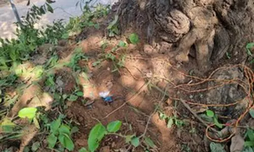 Gadchiroli police ने पुल पर आईईडी बरामद किया