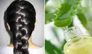 Hair Care: अगर आप भी चाहते हैं घने और मजबूत बाल तो लगाएं एलोवेरा जेल