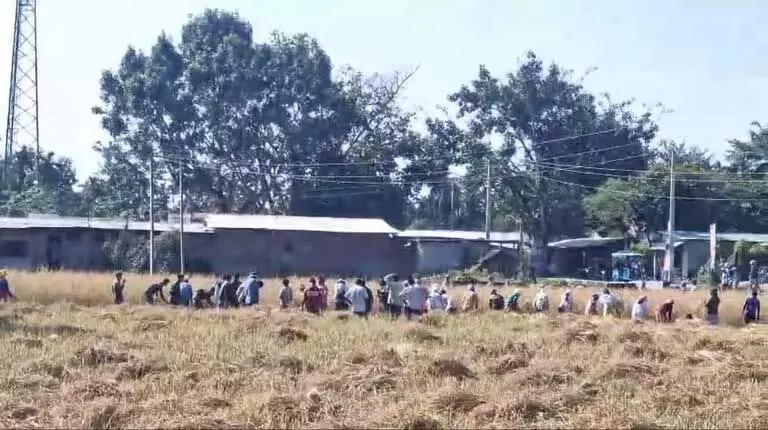 Assam : जमुगुरीहाट में सामुदायिक कटाई ने ध्यान खींचा