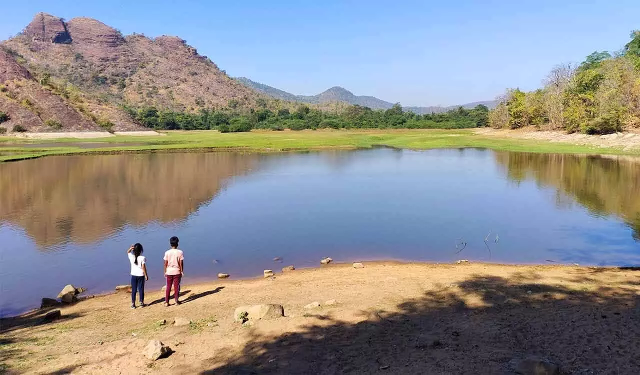 Mancherial जंगलों में जल्द ही जंगल सफारी शुरू की जाएगी