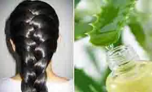 Hair Care: अगर आप भी चाहते हैं घने और मजबूत बाल तो लगाएं एलोवेरा जेल Hair Care: अगर आप भी चाहते हैं घने और मजबूत बाल तो लगाएं एलोवेरा जेल