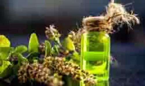 Skin Care: सर्दियों में चांद की तरह चमकना है तो तुलसी के पत्तों का करें इस्तेमाल