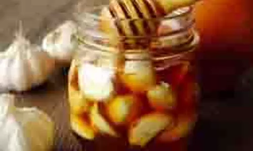 Health: रातभर भिगोए हुए लहसुन और शहद को सुबह खाली पेट खाने के फायदे