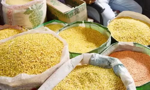 दाल कारोबारियों के लिए सरकार के नए निर्देश, पंजीकृत होना किया अनिवार्य