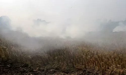 Haryana : यमुनानगर में पराली जलाने के आरोप में अब तक 32 किसानों पर मामला दर्ज