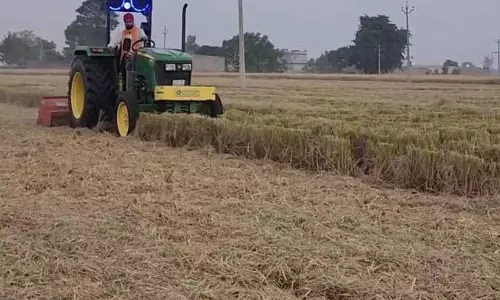 Punjab: जीरा के किसान धान की पराली के प्रबंधन में सबसे आगे Punjab: जीरा के किसान धान की पराली के प्रबंधन में सबसे आगे