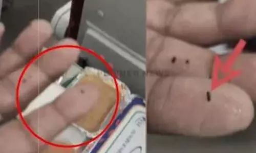 यात्री के खाने में कीड़ा मिलने पर रेलवे ने की बड़ी कार्रवाई, कॉन्ट्रैक्टर पर ठोंका 50 हजार जुर्माना