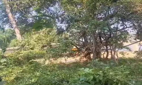 CG BREAKING: चुनाव से पहले नक्सलियों की साजिश नाकाम, जवानों ने IED को किया नष्ट