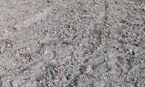 Himachal: लंबे समय तक सूखे के कारण रबी की बुआई प्रभावित
