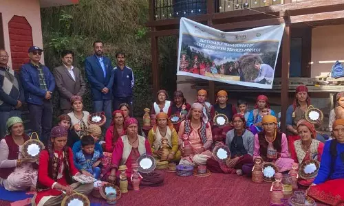 Pathrevi village की महिलाएं देवदार की सुइयों को आजीविका का साधन बना रही Pathrevi village की महिलाएं देवदार की सुइयों को आजीविका का साधन बना रही