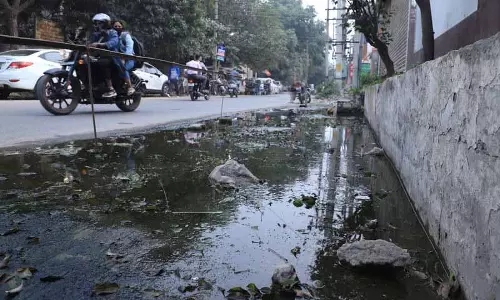 Jalandhar: बाजार में सीवर ओवरफ्लो होने से डेंगू का खतरा बढ़ा