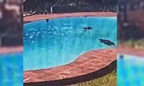 Mangaluru: रिसॉर्ट के स्विमिंग पूल में डूबी तीन युवतियां