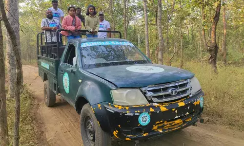 Mancherial जंगलों में जल्द ही जंगल सफारी शुरू की जाएगी