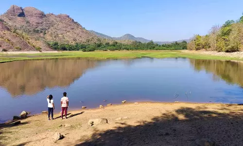 Mancherial जंगलों में जल्द ही जंगल सफारी शुरू की जाएगी