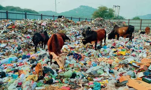 Panchkula MC अलीपुर गांव में कचरा छंटाई इकाई स्थापित करेगा