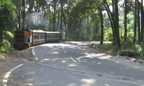 दार्जिलिंग हिमालयन रेलवे ने न्यू जलपाईगुड़ी-Darjeeling तक टॉय ट्रेन सेवा फिर से शुरू की