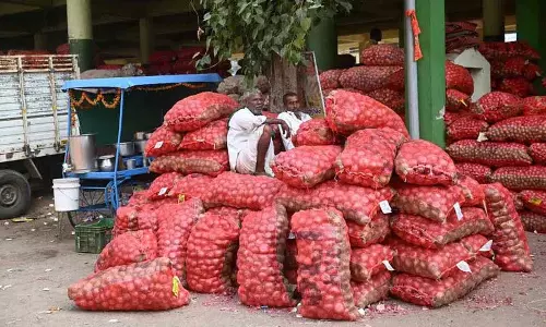 Onion प्रिंसेस की कीमत Rs80 प्रति kg तक पहुंची, बिक्री और खपत रुकी