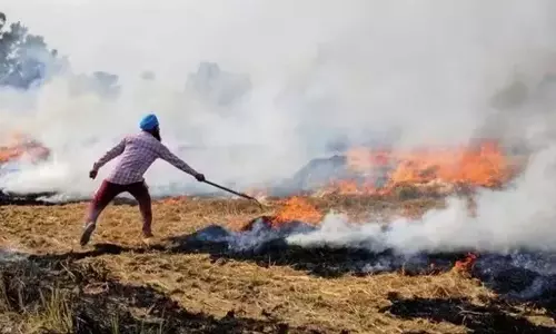 Punjab में खेतों में आग लगने की 400 से अधिक घटनाएं