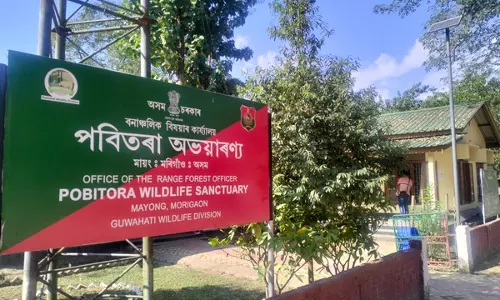 Assam: पोबितोरा वन्यजीव अभयारण्य में प्रवासी पक्षियों की संख्या में वृद्धि देखी गई Assam: पोबितोरा वन्यजीव अभयारण्य में प्रवासी पक्षियों की संख्या में वृद्धि देखी गई